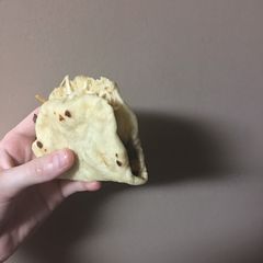 A picture of Tacos for Dogs.