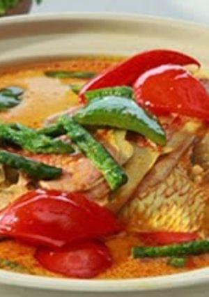 A picture of Spicy Padang's Gulai Ikan or Fish in Yellow Gravy 🇮🇩🎏🐟🐋🥘😙.