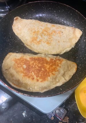 A picture of Chicken calzone.