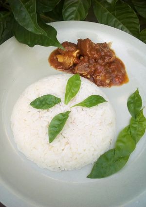 A picture of Rice and stew.