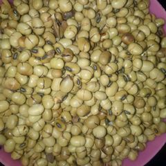 A picture of Soya beans.