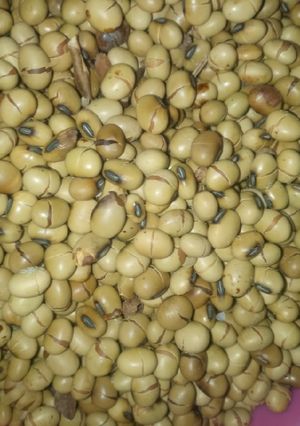 A picture of Soya beans.