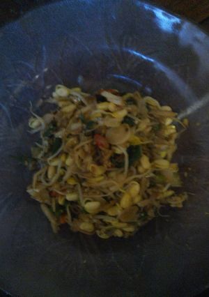 Foto resep Teri kecambah