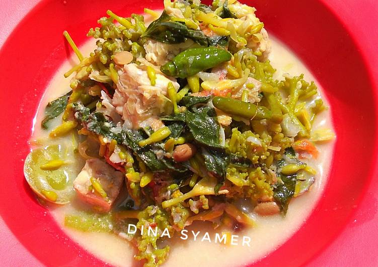 Tauco Jekkar(Bunga Pepaya)