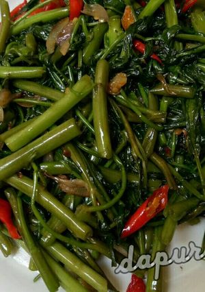 Foto resep Tumis kangkung saus tiram
