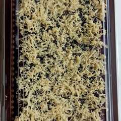 รูปของ Fudgy Brownies by Tintin Rayner