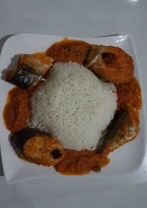 A picture of Titus fish stew and rice.