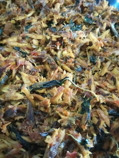 Foto resep *Pampis Tongkol