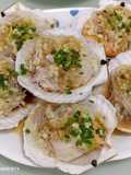 Stim scallop