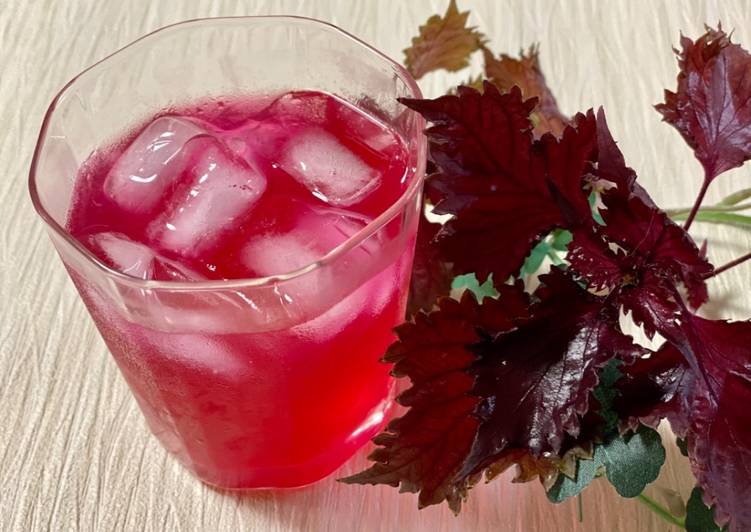 Pink Shiso Juice