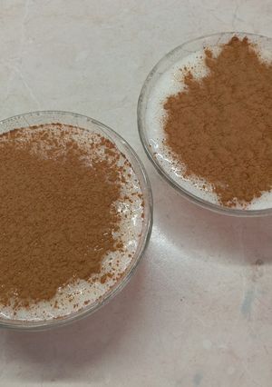 A picture of Creamy Rice Pudding (Rizogalo).