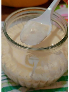 Foto resep Yoghurt Homemade