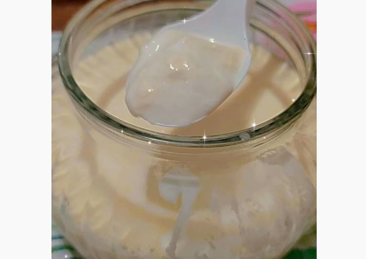 Yoghurt Homemade