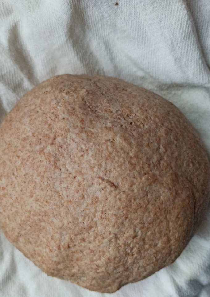 Una foto de Masa para empanada integral con Masa Madre
