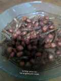 Sambal setan teri kacang