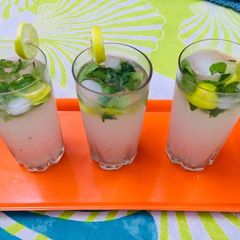 A picture of Mojito.