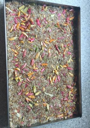 A picture of Weetabix barfi.
