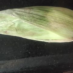 Title Hot spicy Butter pepper sweet corn A picture of Title Hot spicy Butter pepper sweet corn.