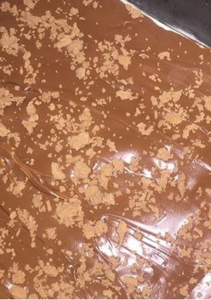 صورة لوصفة حلى بارد بدون فرن بالنوتيلا