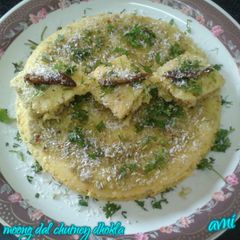 A picture of Moong dal chutney dhokla.