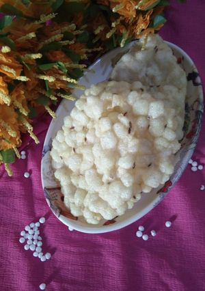 A picture of Sabudana papad.