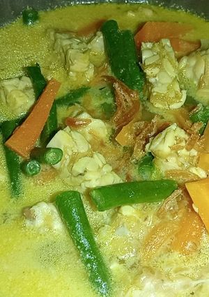Foto resep Sayur Santan Tahu Tempe Wortel