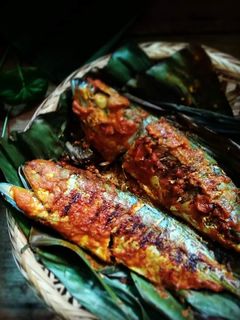 Gambar Ikan Kembung Percik