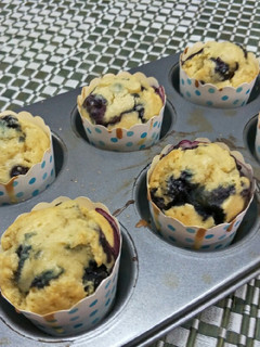 Foto resep Blueberry Muffins / Kue Muffin Blueberry