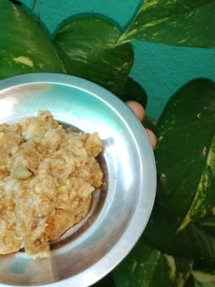 பால்கோவா செய்முறை முக்கிய புகைப்படம்