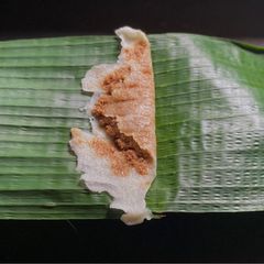 A picture of Ela Ada or Elayappam.