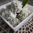 KLepoN