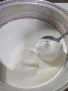 عکسی از دستور سرشیر محلی
