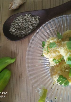 खमन ढोकला(Khaman Dhokla recipe in hindi) रेसिपी मुख्य फोटो