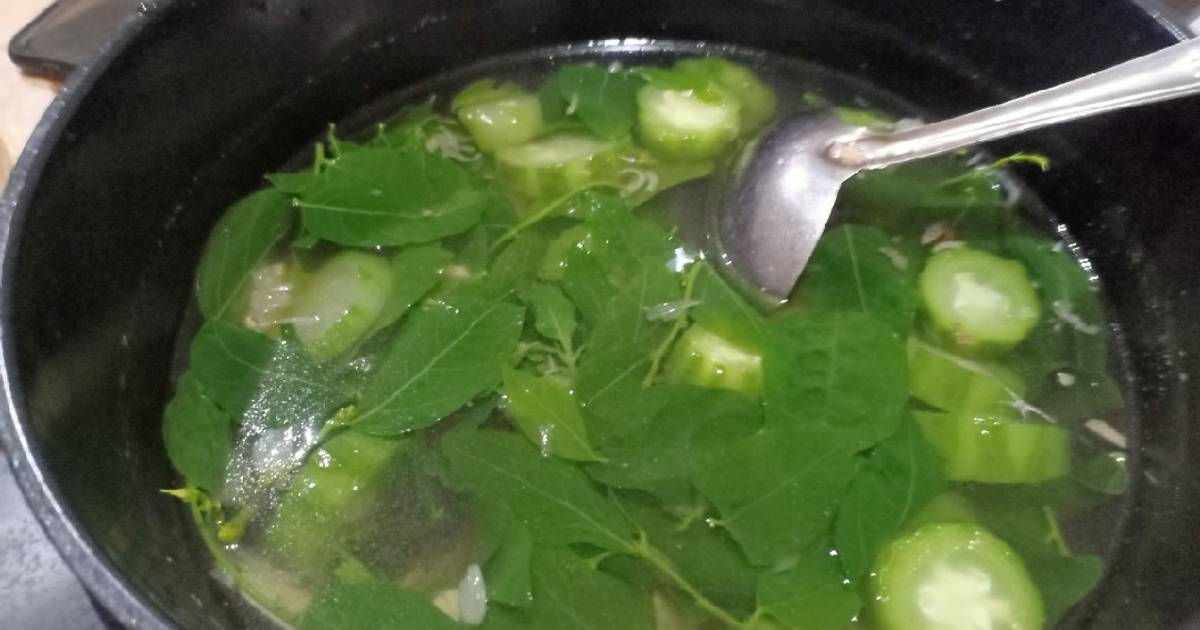 Resep Sayur Bening Daun Katuk Oyong Oleh Lulu Cookpad