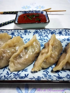 Foto de Gyozas de Porco e Legumes!
