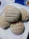 White Conchas