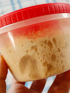 Foto principal de Masa vieja (prefermento para pan)