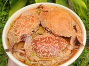 Gambar sendok jintan