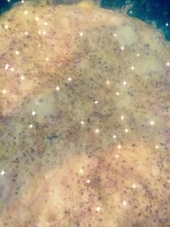 صورة لوصفة وصفتي للبيض