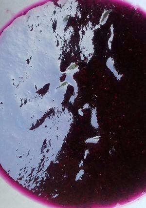 Foto resep Selai buah naga