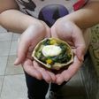 Canastitas saludables