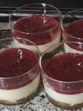 Flan rápido de queso TMX31