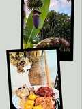 Sambel Terasi Kulup Ontong Jawa Timuran