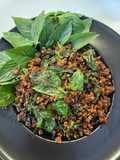 Pad Kra Pao (Stir-Fried Pork with Thai Basil)