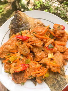 Foto resep Gurame asam manis