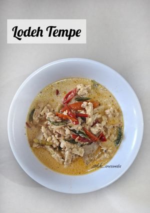 Foto resep Lodeh Tempe