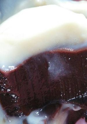 Foto resep Puding coklat vla instan