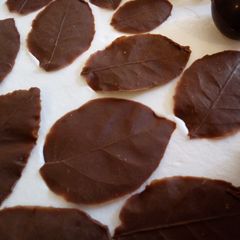 Chocolate Leaves#15minsorlesscookingrecipecontest A picture of Chocolate Leaves#15minsorlesscookingrecipecontest.