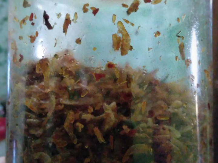 Resep Udang Rebon (Rese) Kering Pedas, Sempurna