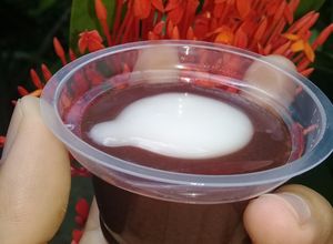 Foto resep Puding coklat 1000 /cup